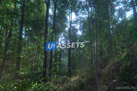 Nature Package - Forest Environment