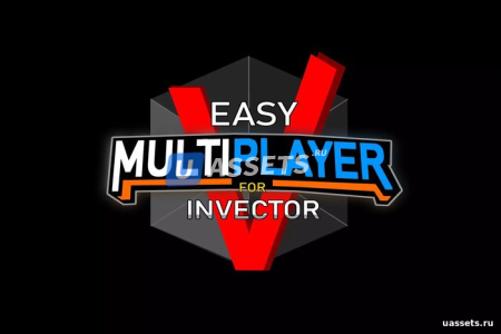 Easy Multiplayer - Invector - Full Suite
