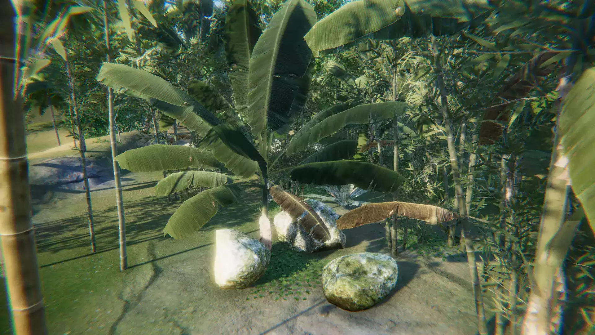 Tropical South-East Asia Rainforest / Jungle Pack
