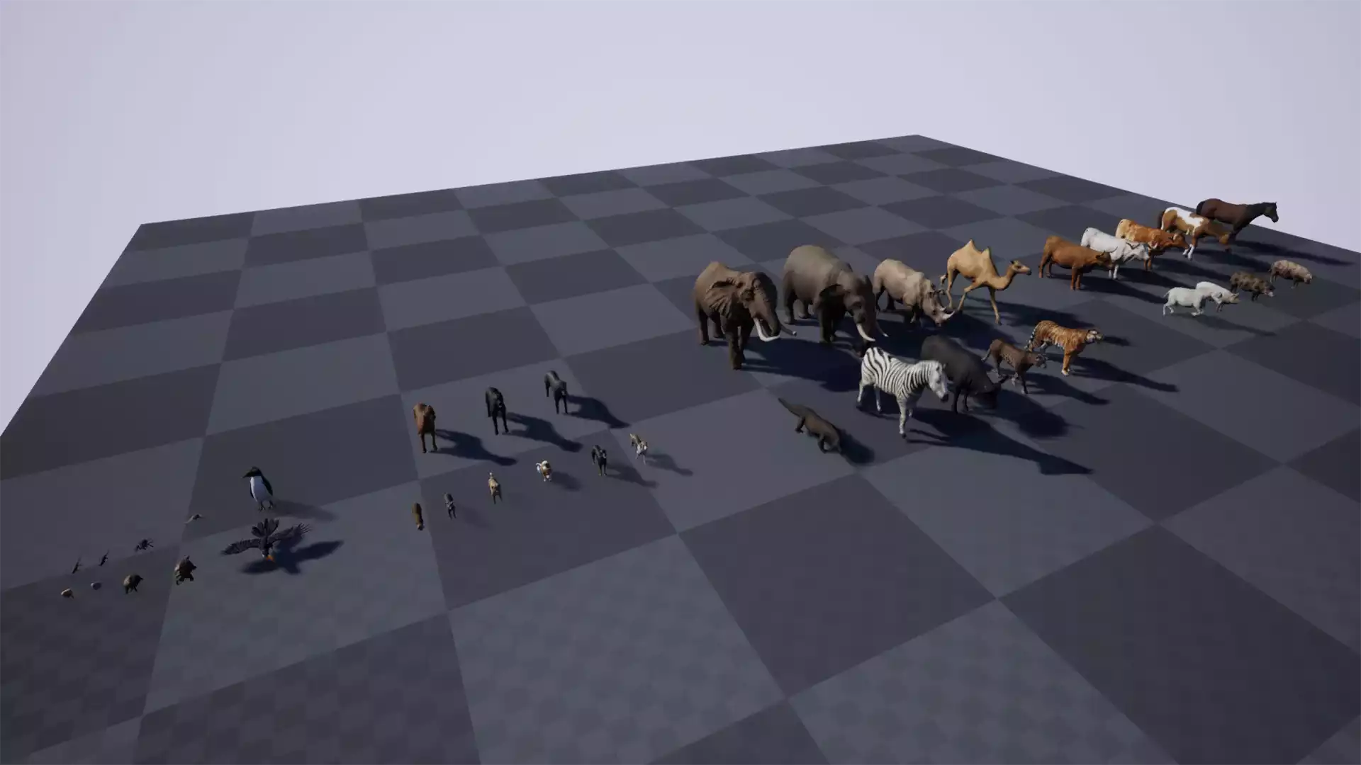 Animal Pack Ultra 2