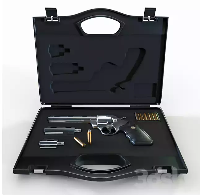 Weapon Case With Revolver