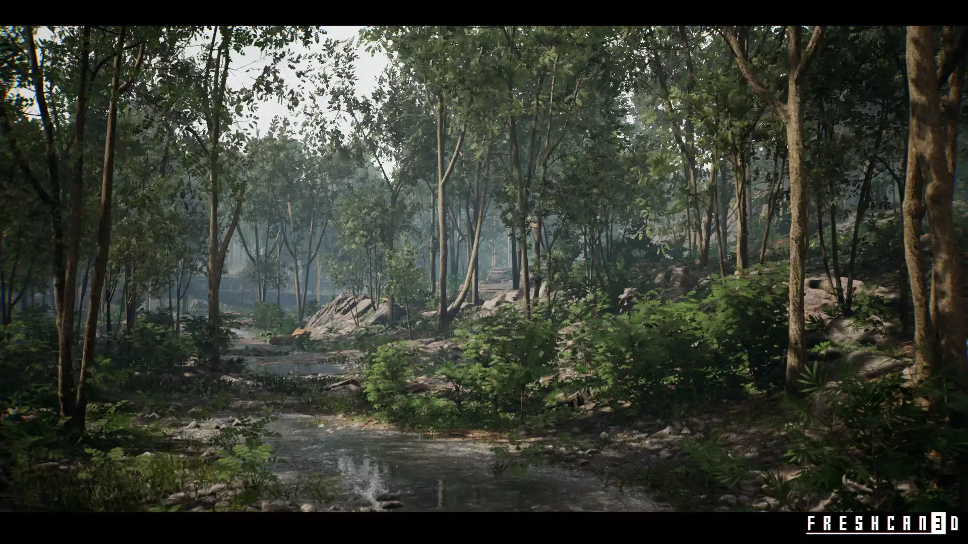 Forest Environment