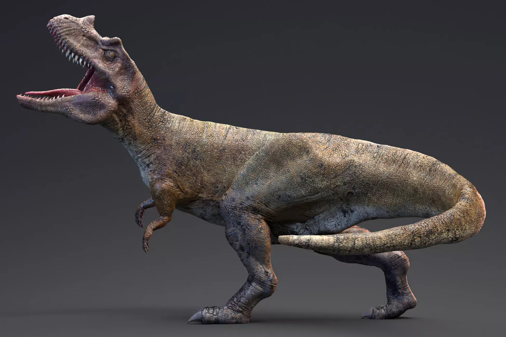 Ceratosaurus - 82 Animations - Real Dinosaur Series