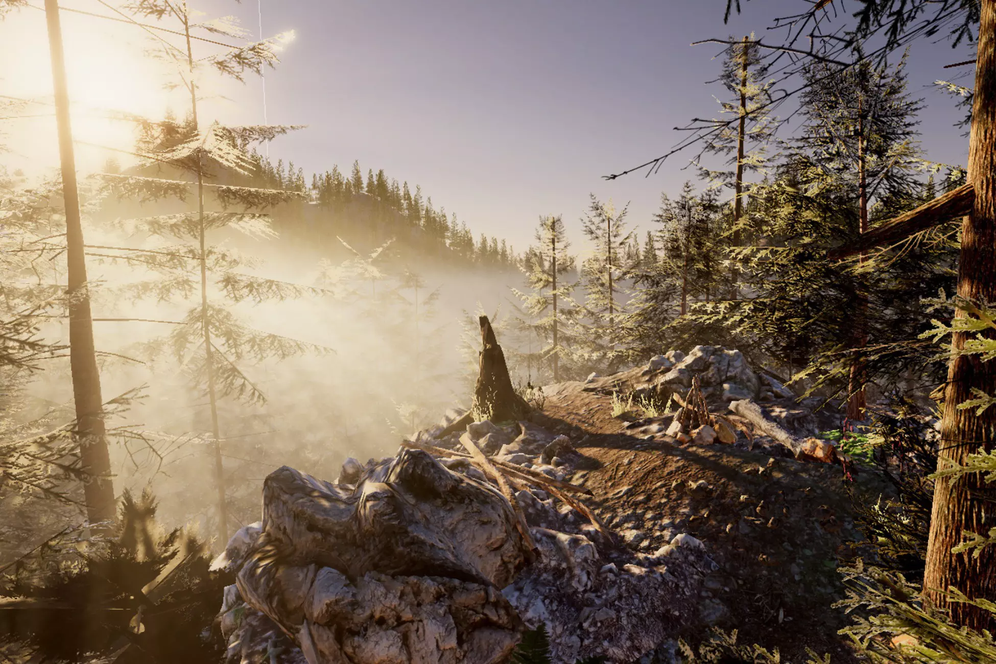 Mountain Forest Pack