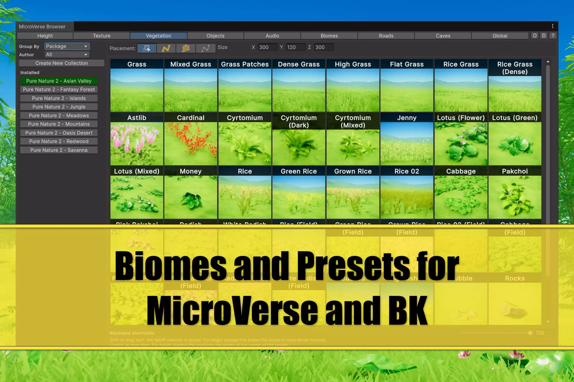 Biomes and Presets for MicroVerse + BK