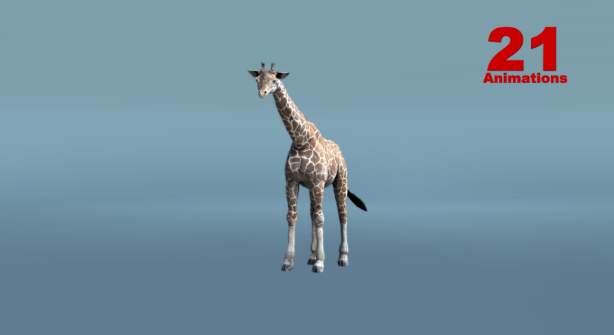 African Animal - Giraffe