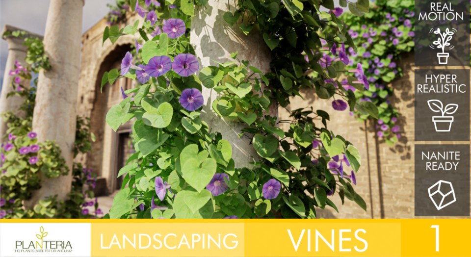Landscaping Vines 1
