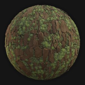 Bark 08