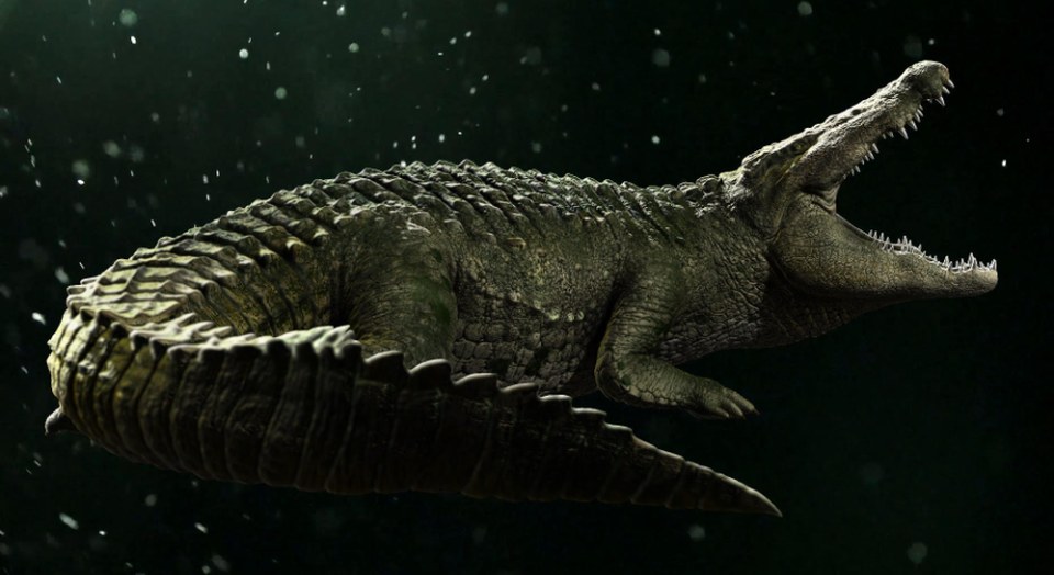 Realistic Crocodile