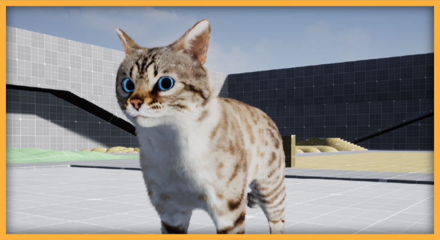 AnimX: Advanced Cats