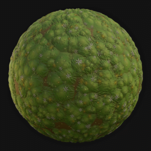Moss Ground 01