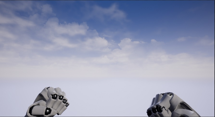 First Person Combat Fists