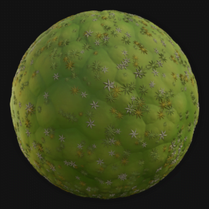 Moss Ground 03