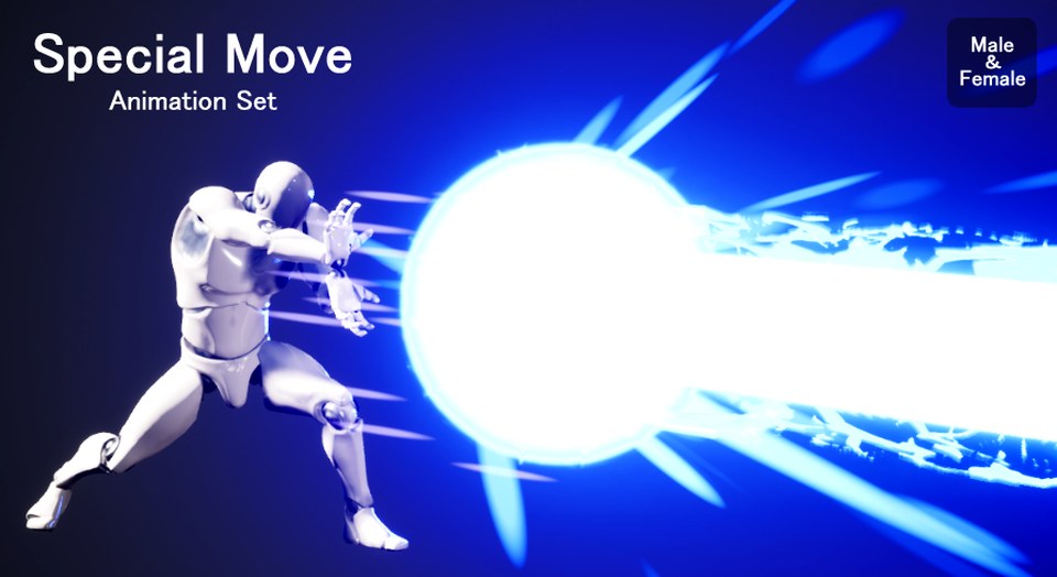 Special Move Animations