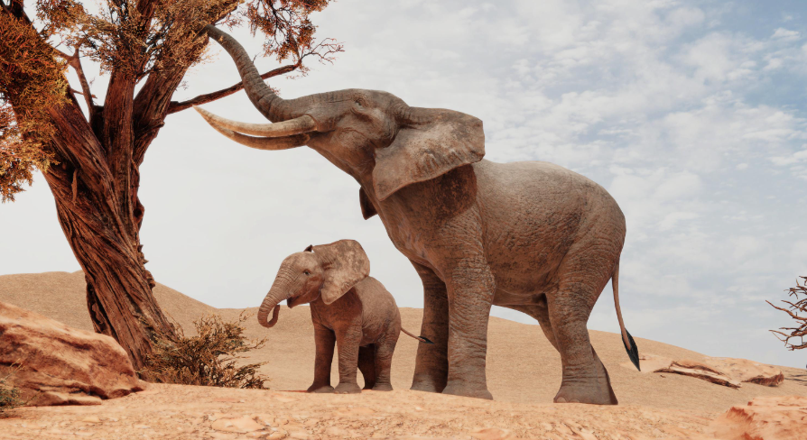 African Elephants