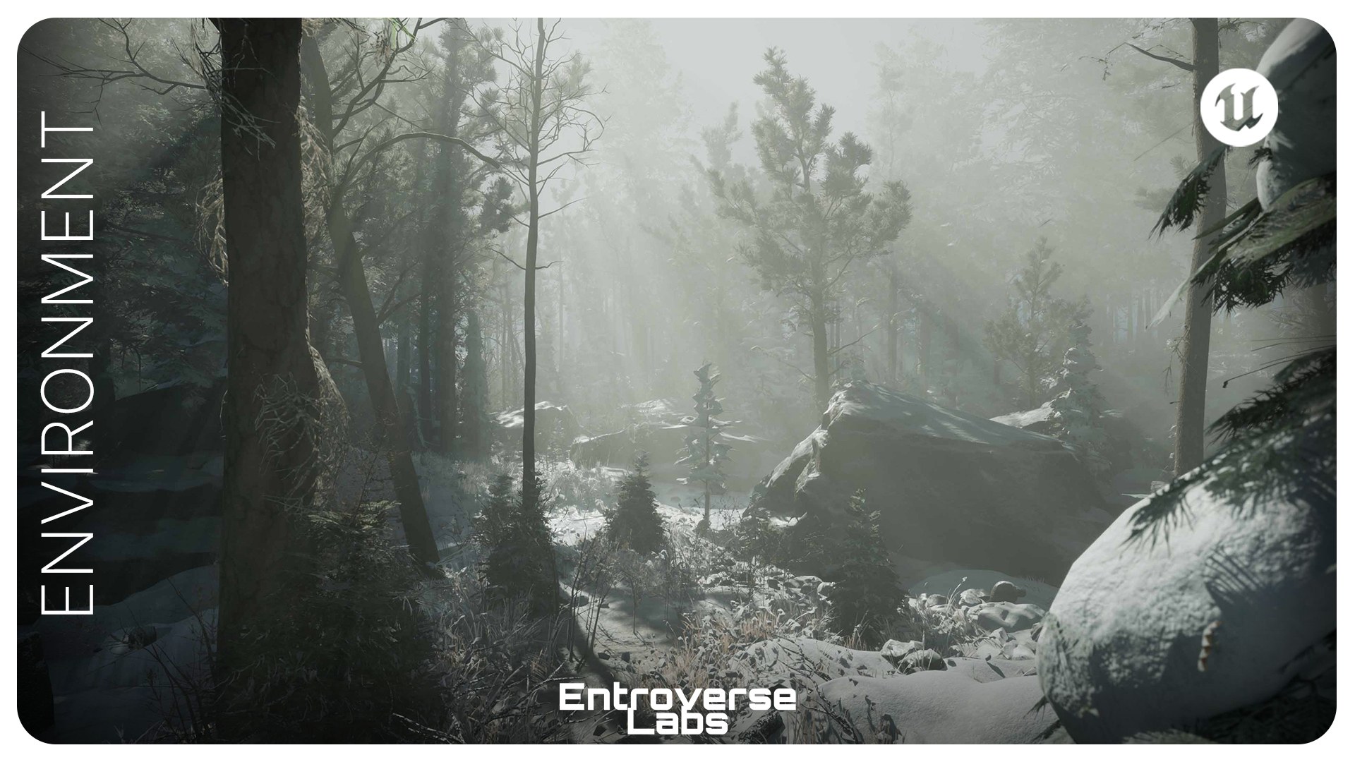 Taiga Biome Environment ( Boreal Forest , Winter Forest , Tundra Biome )