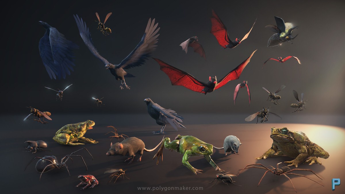 Wild Life - Random Beasts