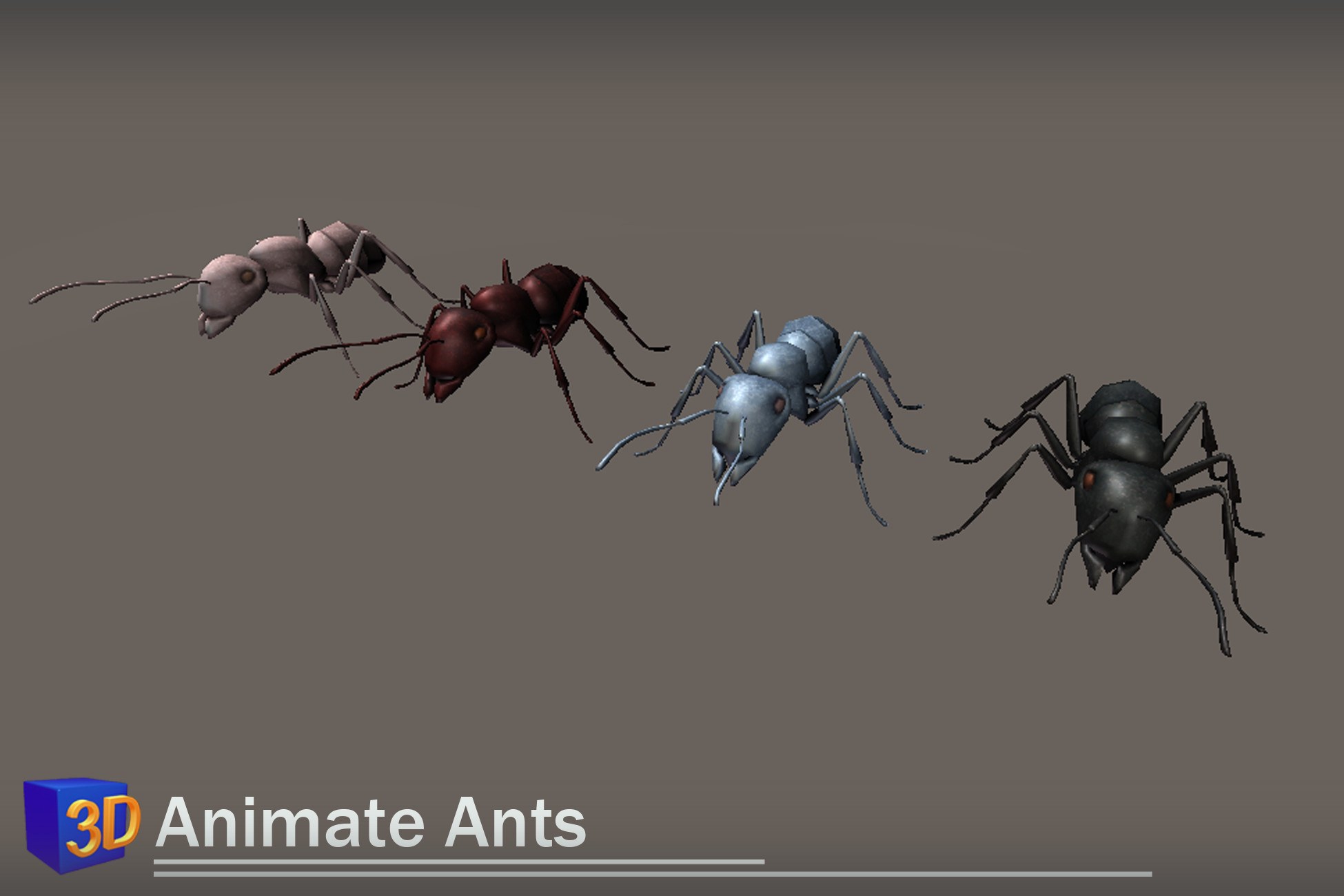 3D Animate Ants