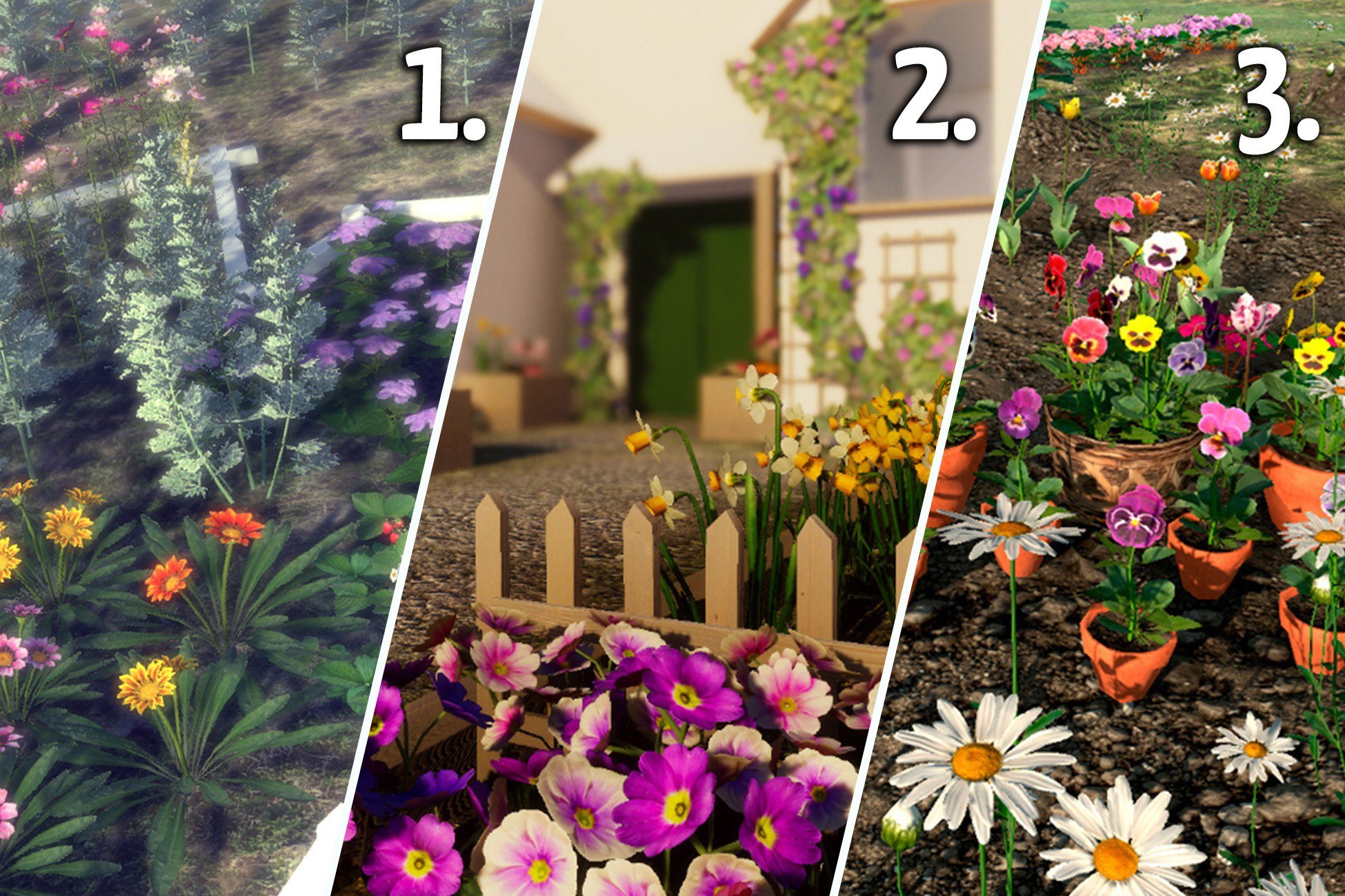 Garden Flowers and Herbs Pack